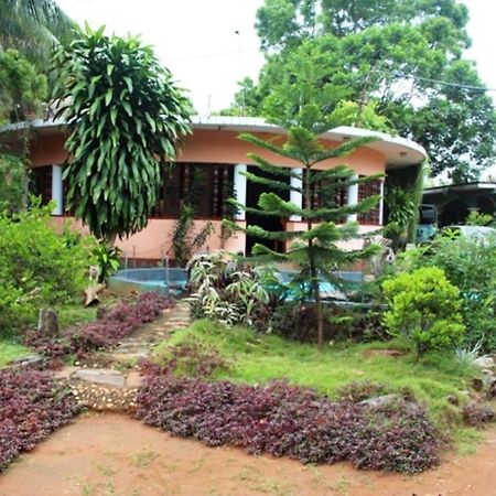 Walawe Park View Hotel Удавалаве Экстерьер фото